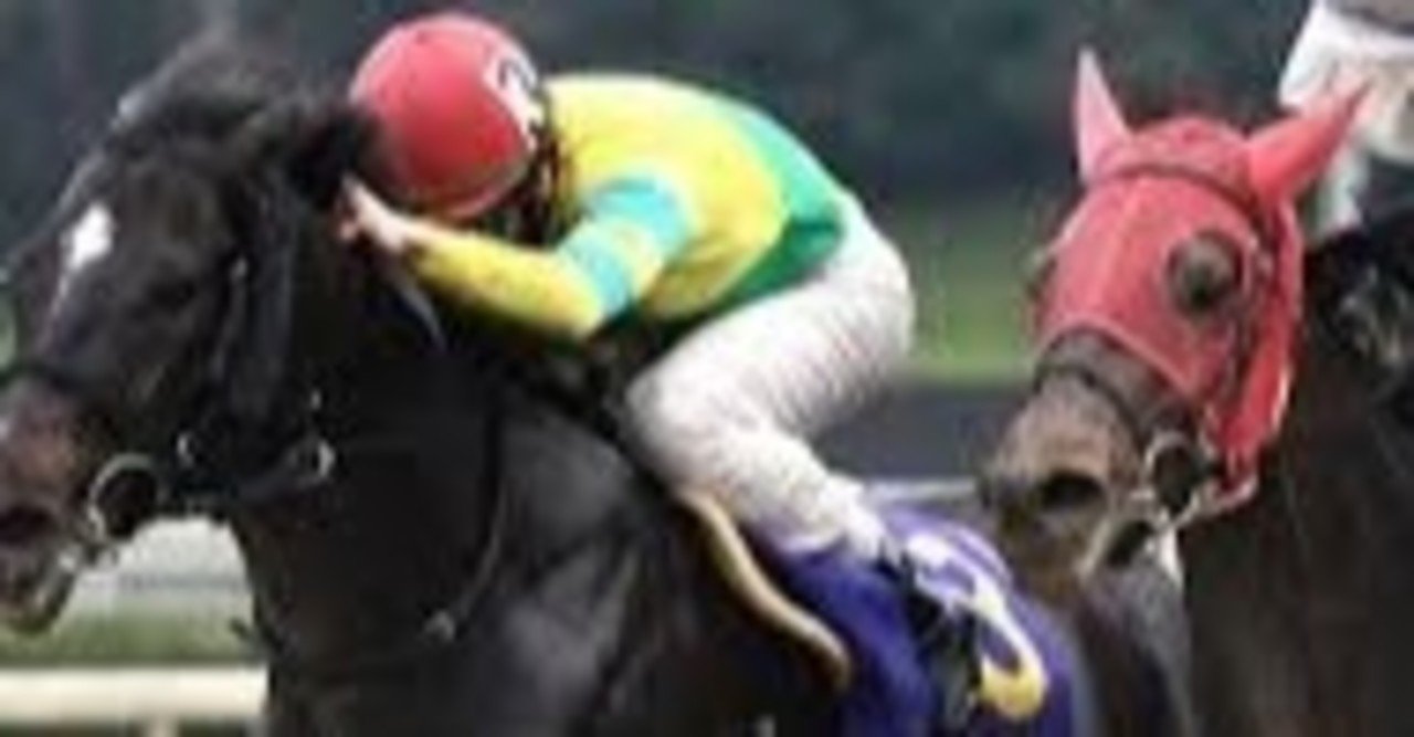 黒船賞予想 高知競馬場をまずは知ろう ちあきの考える競馬予想 Note