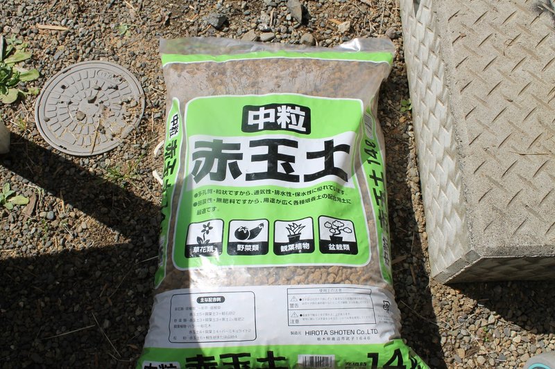 南天剪定と挿し木 3 5 Nakada Shugo Note