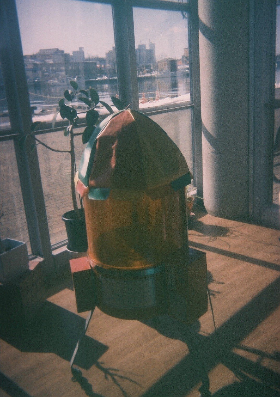 メルカリで買った3台の写ルンですで撮影した写真を比べて見た