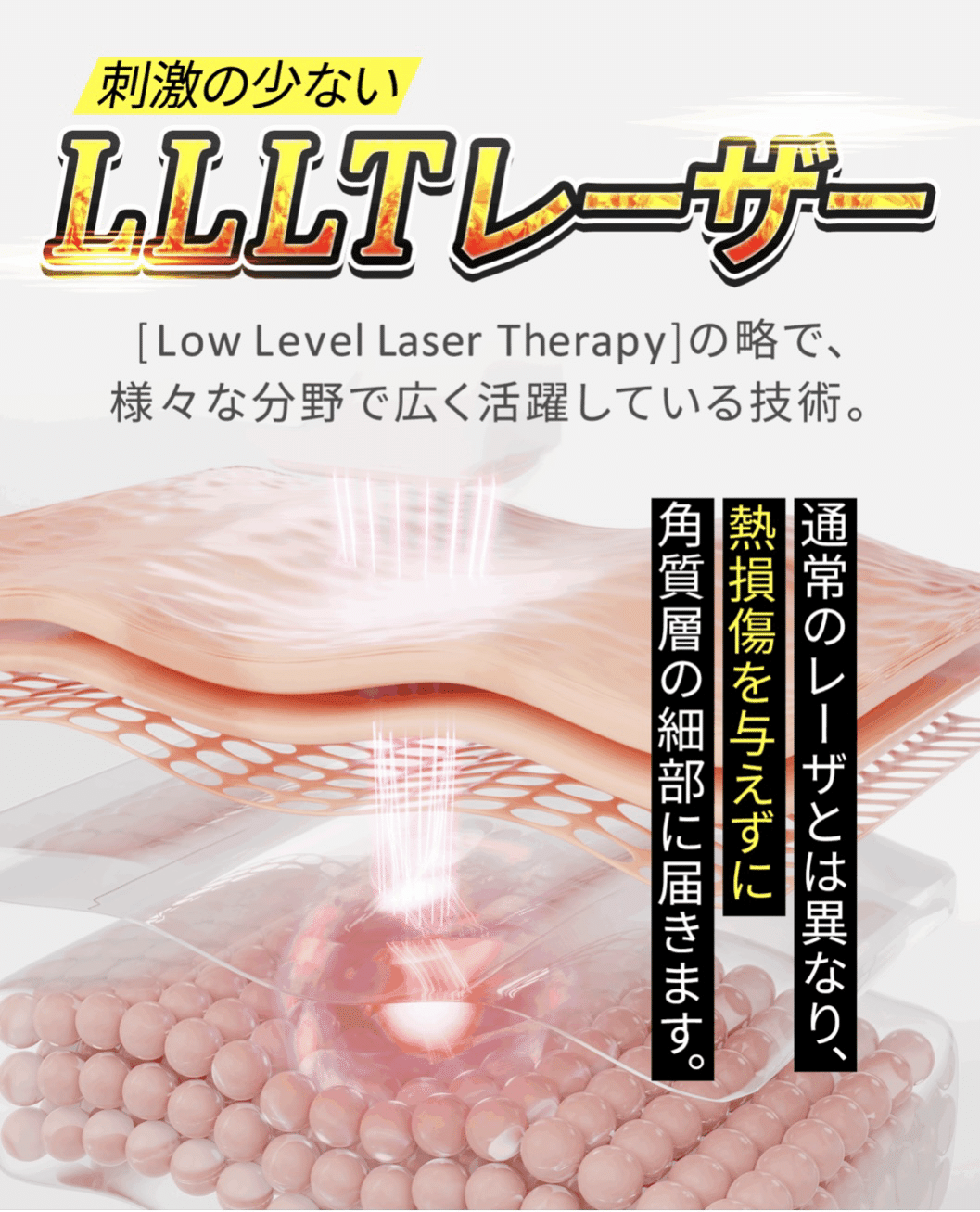 ステラボーテリフトブラシPROで-9歳に｜渡邉 健太