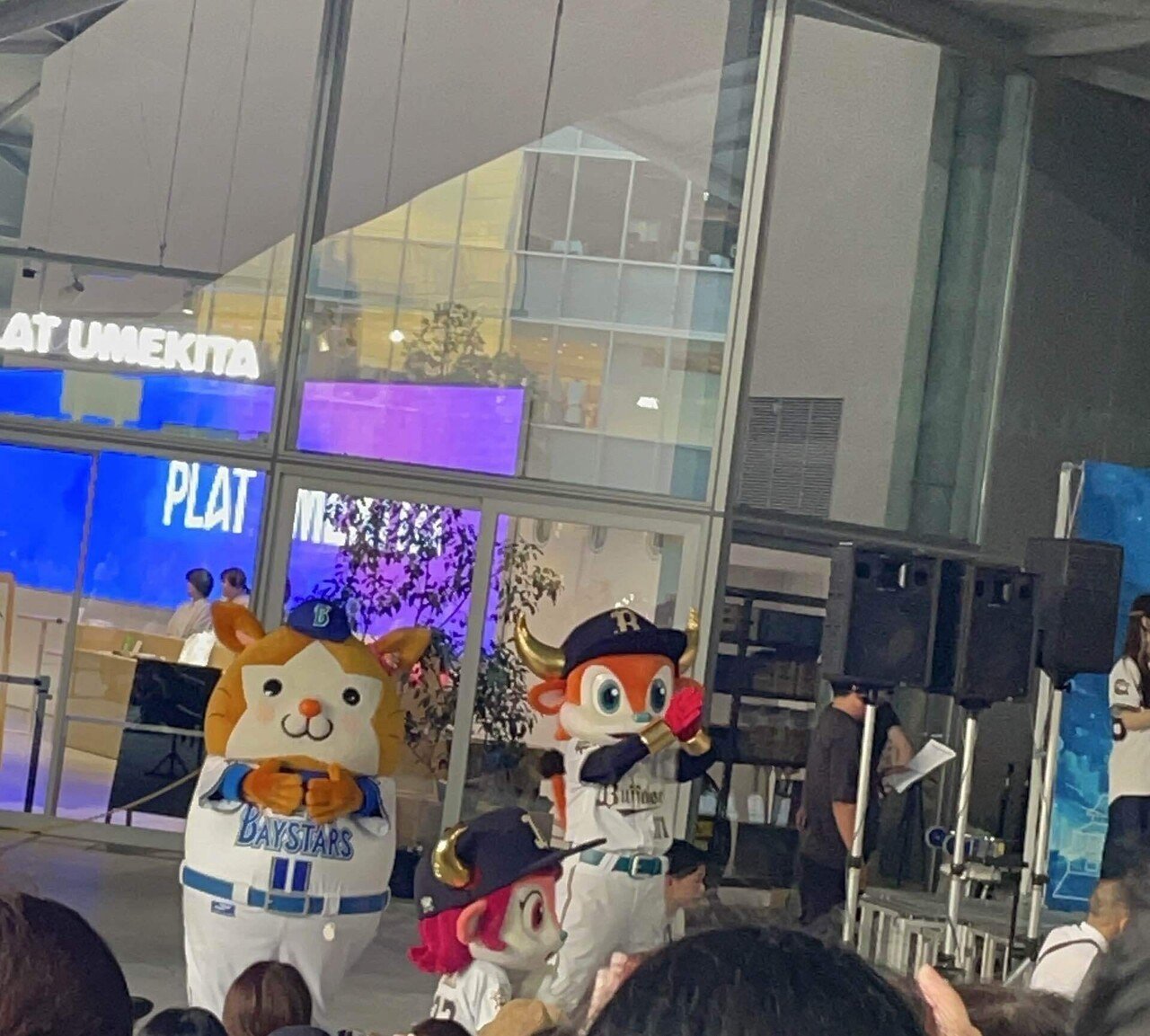 マイナビオールスターゲーム2025in京セラドーム｜カンナヅキ石水