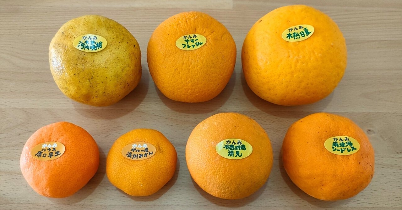 ミカン 楽天市場】佐賀 はるか みかん 2箱セット 1箱あたり約2kg(9〜14