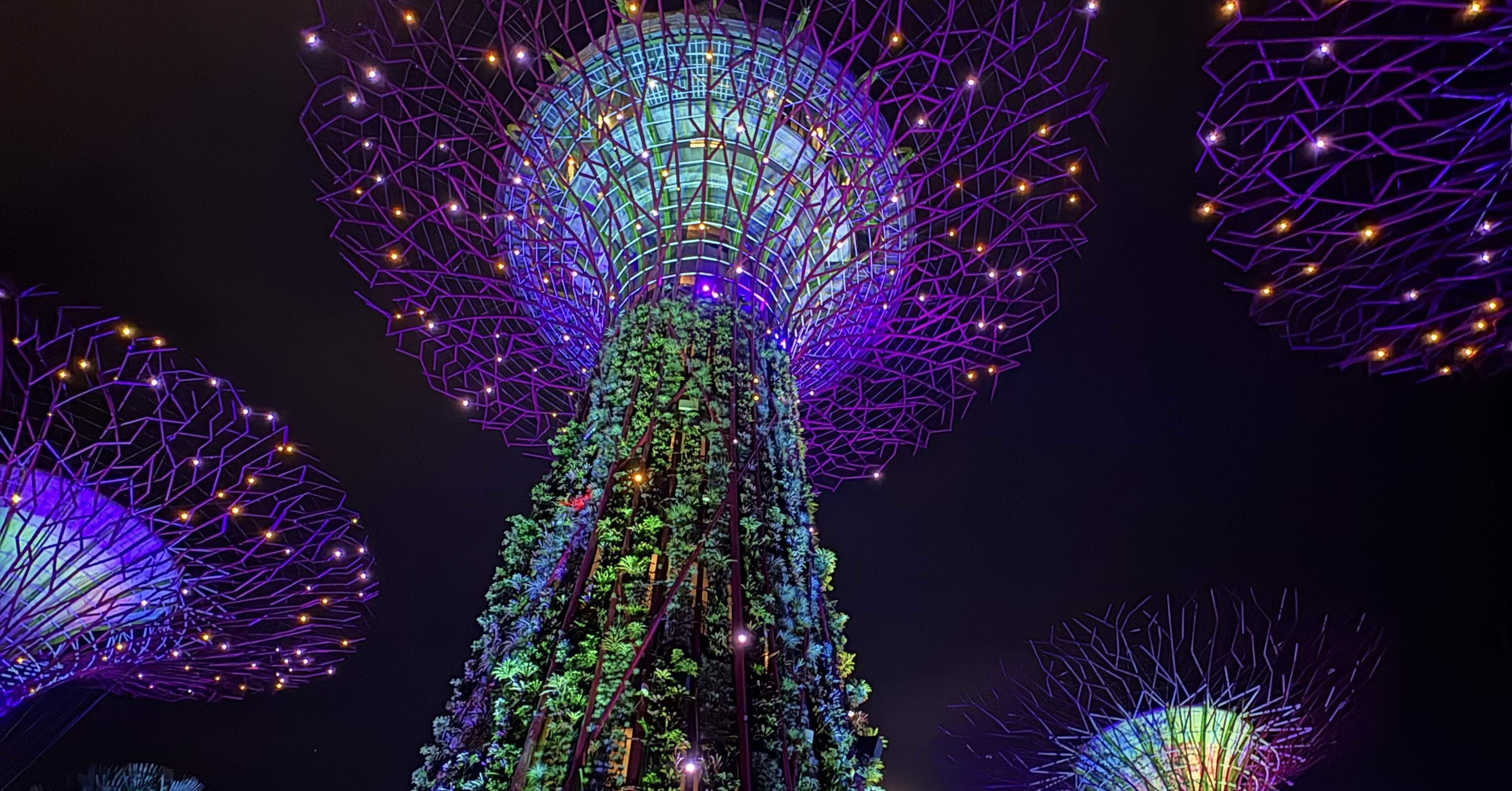 海外旅行】最後まで食を満喫┊お土産購入┊シンガポール旅行🇸🇬vol.3