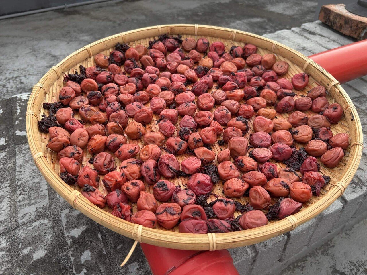 台湾での今年の梅仕事｜さち