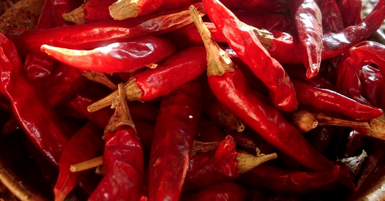 Adoの「Hibana」、北米を縦断し、南米に到達｜けやき広場