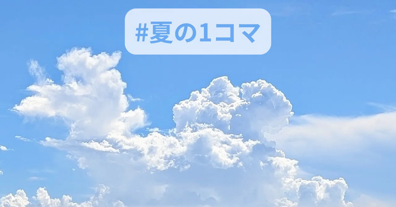 見出し画像
