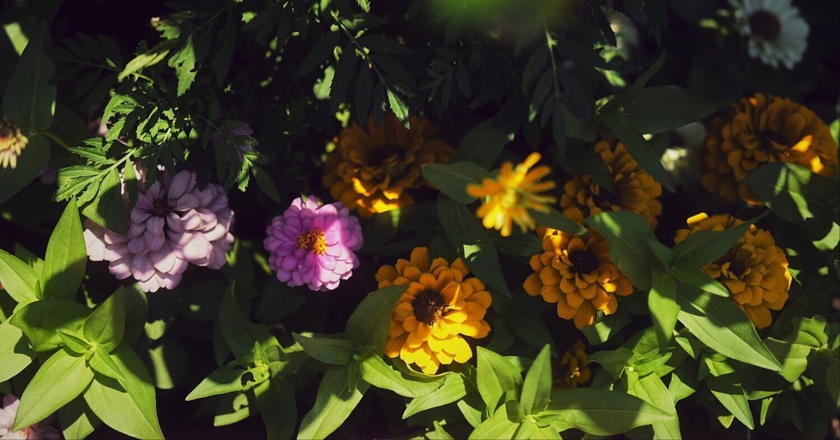 Tsuki7　写真192枚 GKyxABjbkAAZzn-.jpg:large