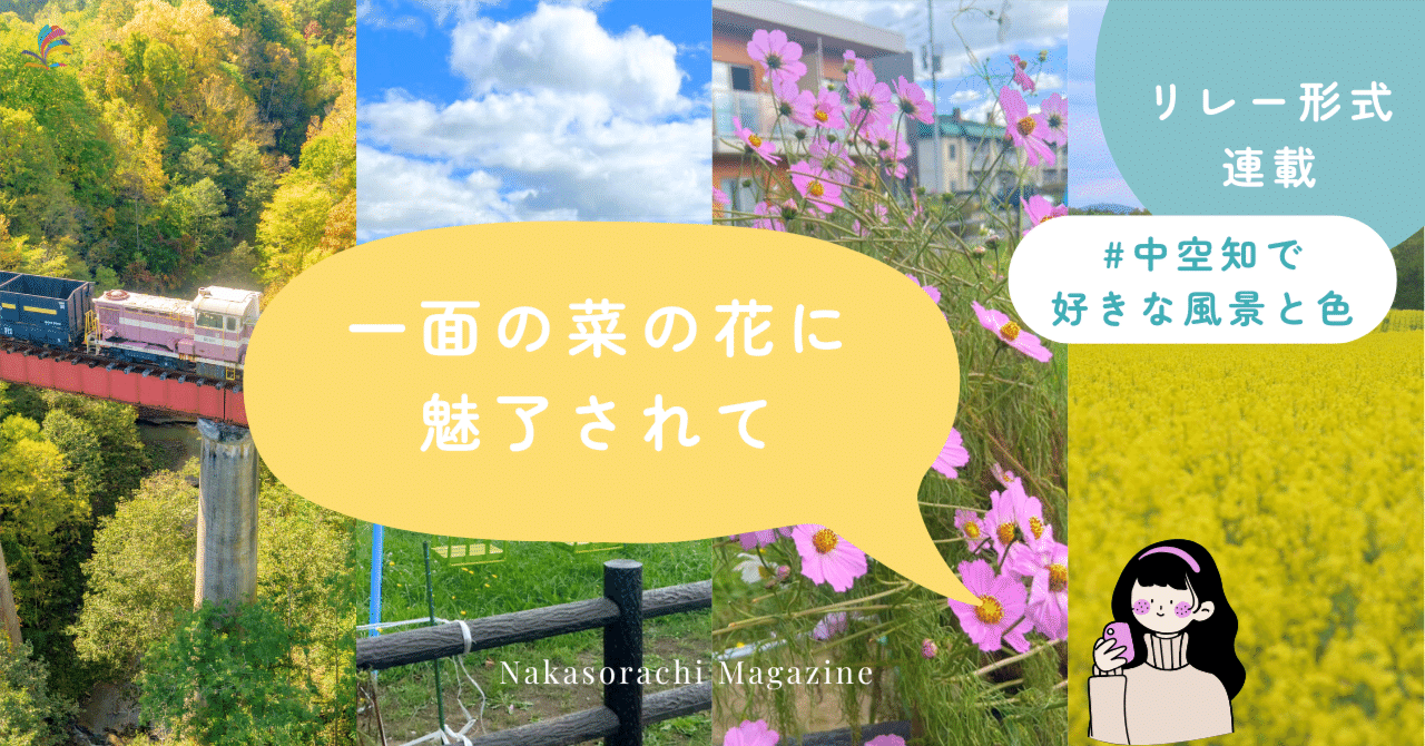 【新企画】一面の菜の花畑に魅了されて。 #中空知で好きな風景と色