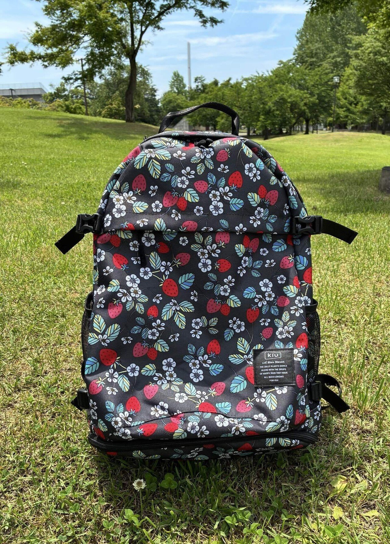 いちごページ Amazon | WORKSBELL RAPFIX2 with 専用ショートボス 542S For 86