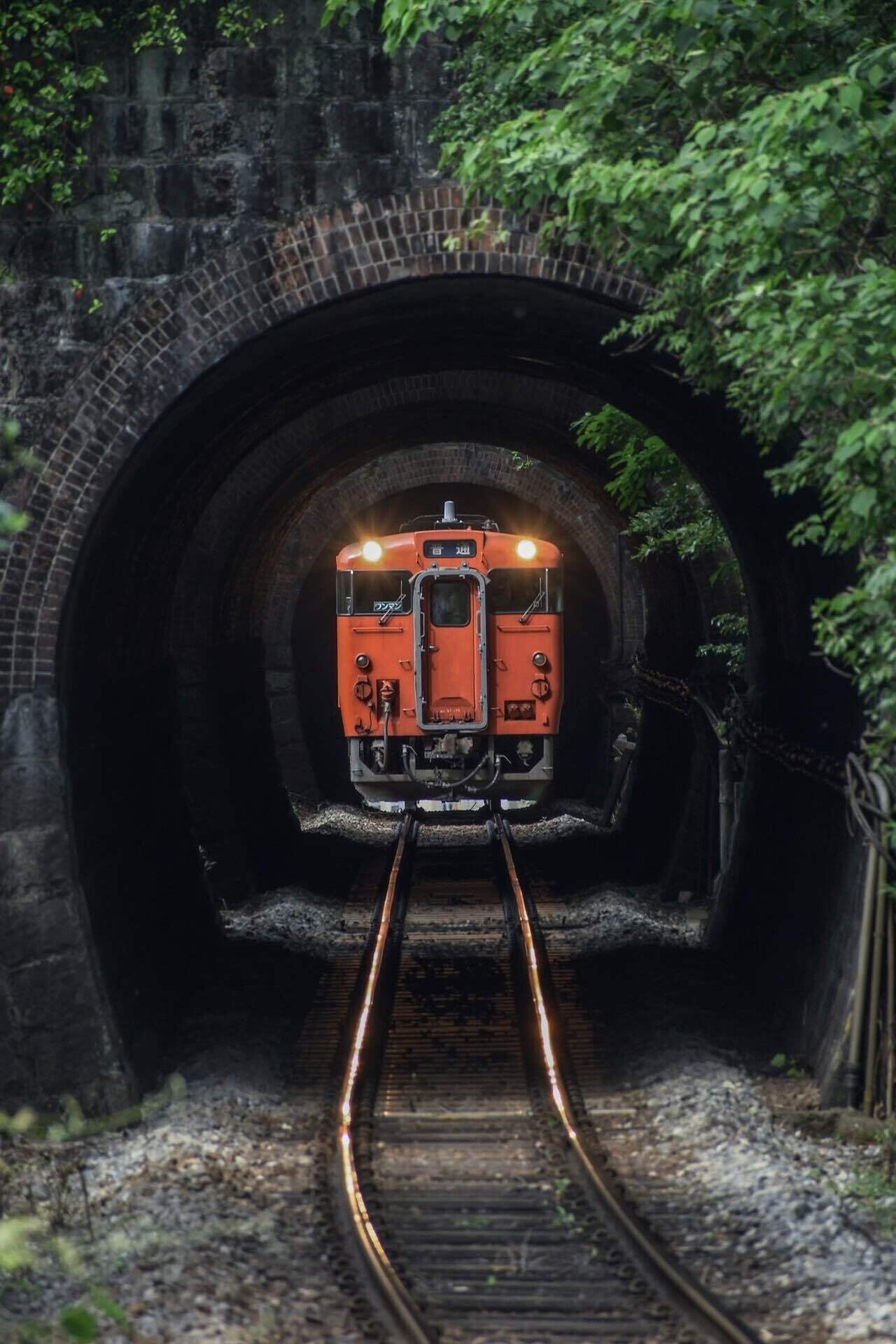 乗車記録#13】芸備線〜経営も線路も崖っぷちの旅。｜f