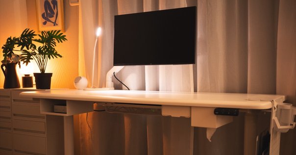 仕事用デスクに PREDUCTS と FlexiSpot E8 を購入した話｜ガシ