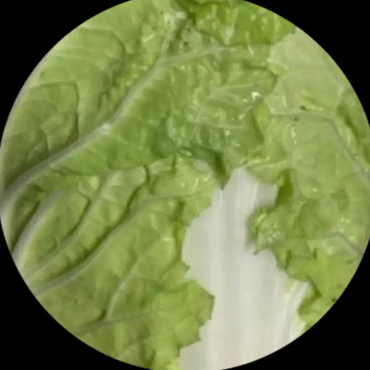 白菜ナベミ