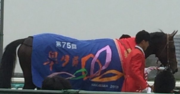 競馬】思い出の馬についてふりかえる（特別編）「過去の日本