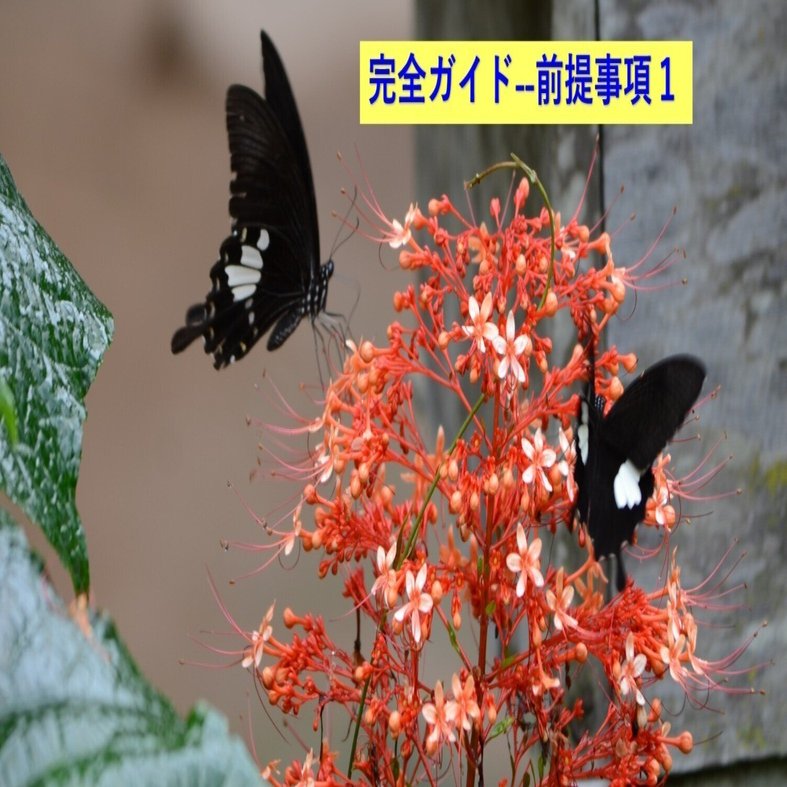 東南アジアの蝶完全ガイド--前提事項1：対象地域と調査方法