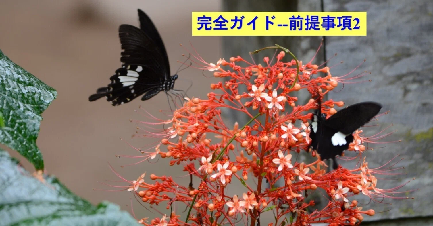 42種：激レア蝶含む亜種・変異種・局所生息固体 東南アジアの蝶完全ガイド--前提事項2： 種の同定と生息状況