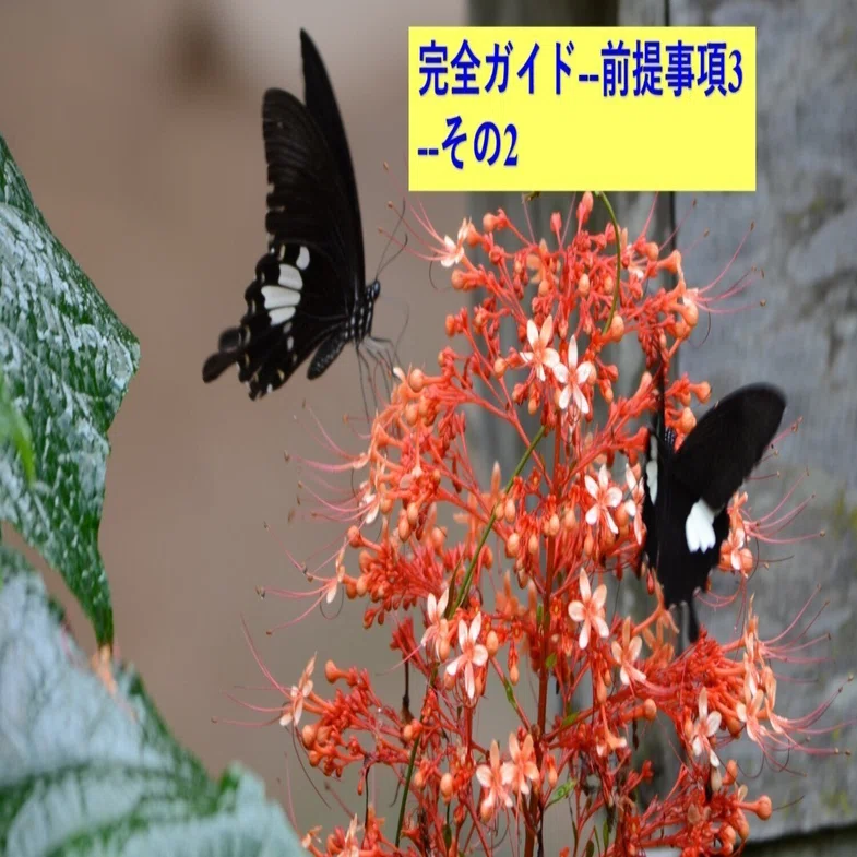 東南アジアの蝶完全ガイド--前提事項3： 採集・撮影地案内--その2