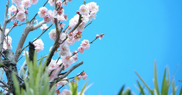 おすすめ講師 数学編 松永光雄｜ホームズ
