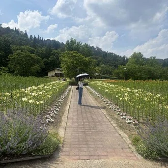 　Yn