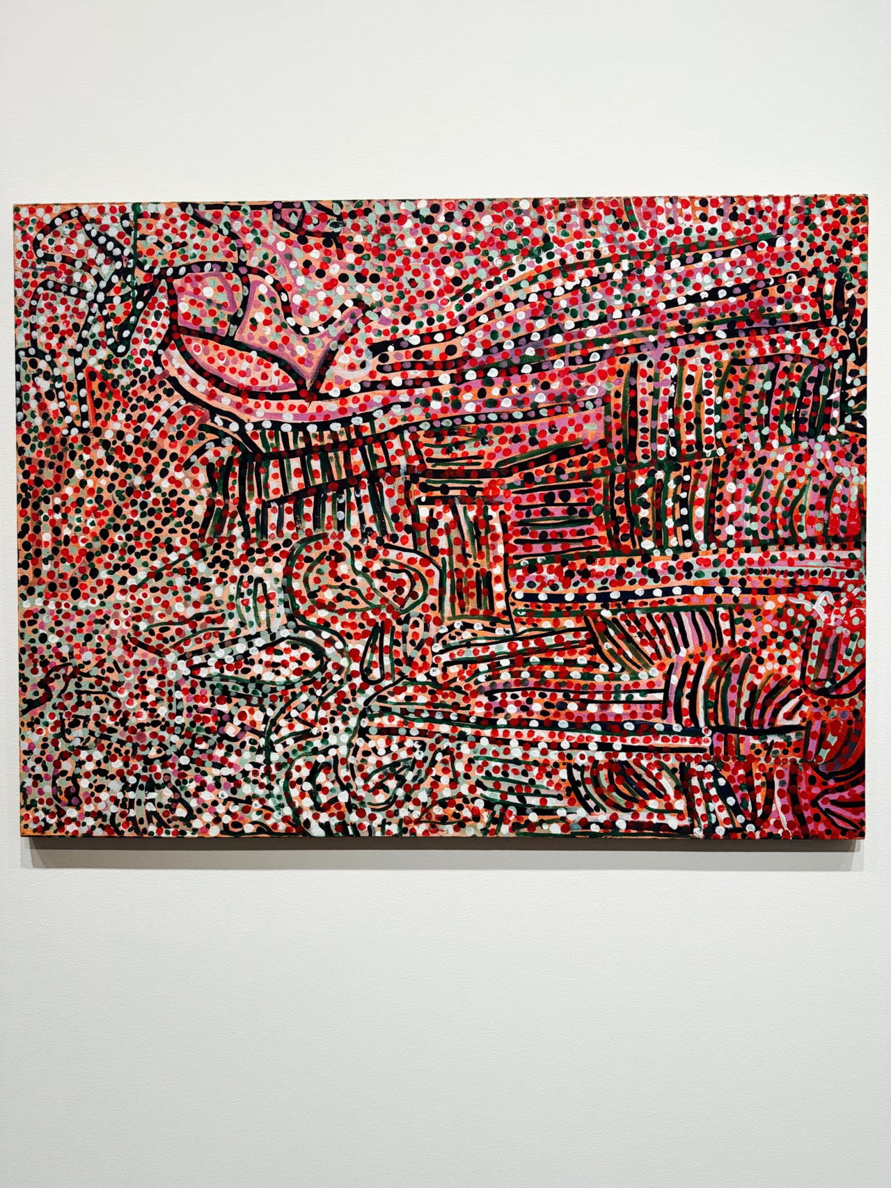 アートめぐり 彼女たちのアボリジナル・アート オーストラリア現代美術