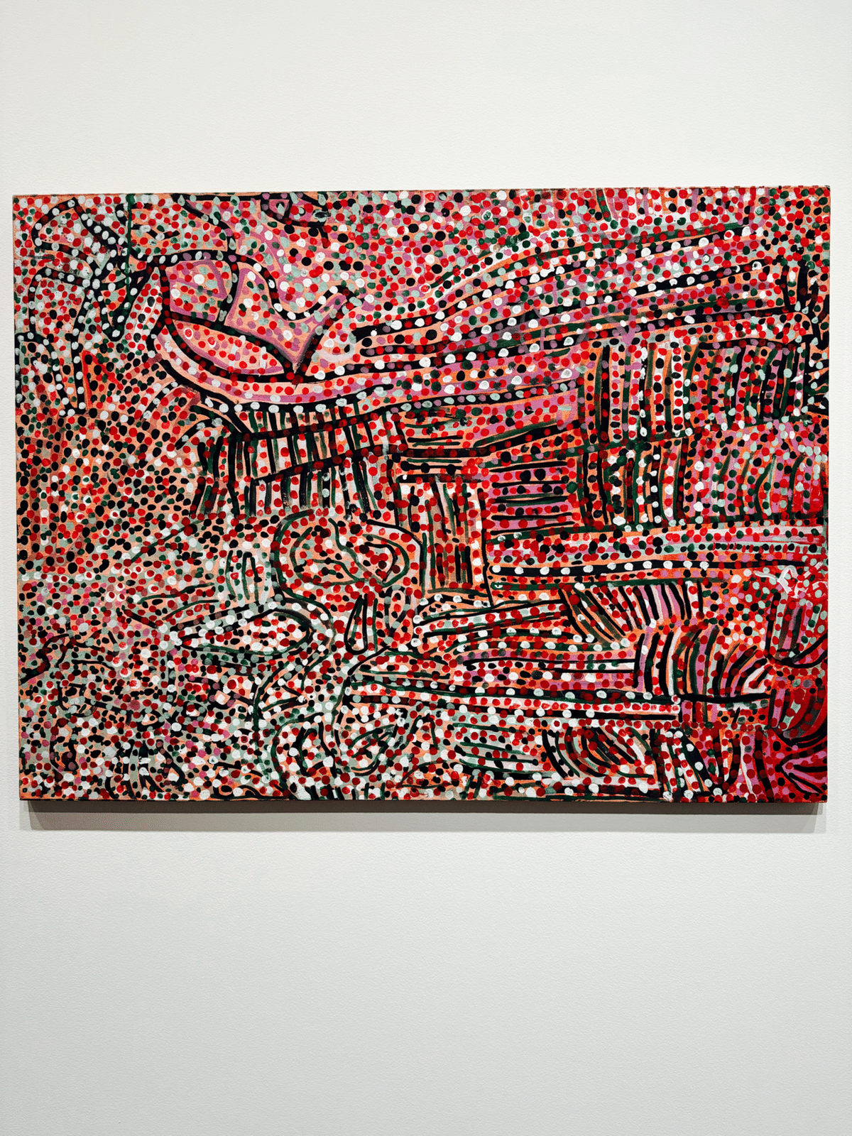 アートめぐり 彼女たちのアボリジナル・アート オーストラリア