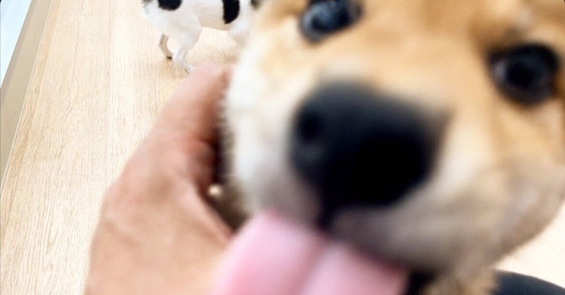 ドッグトレーナーという接客業