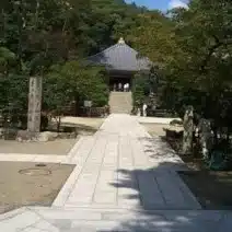 tiikikizuna