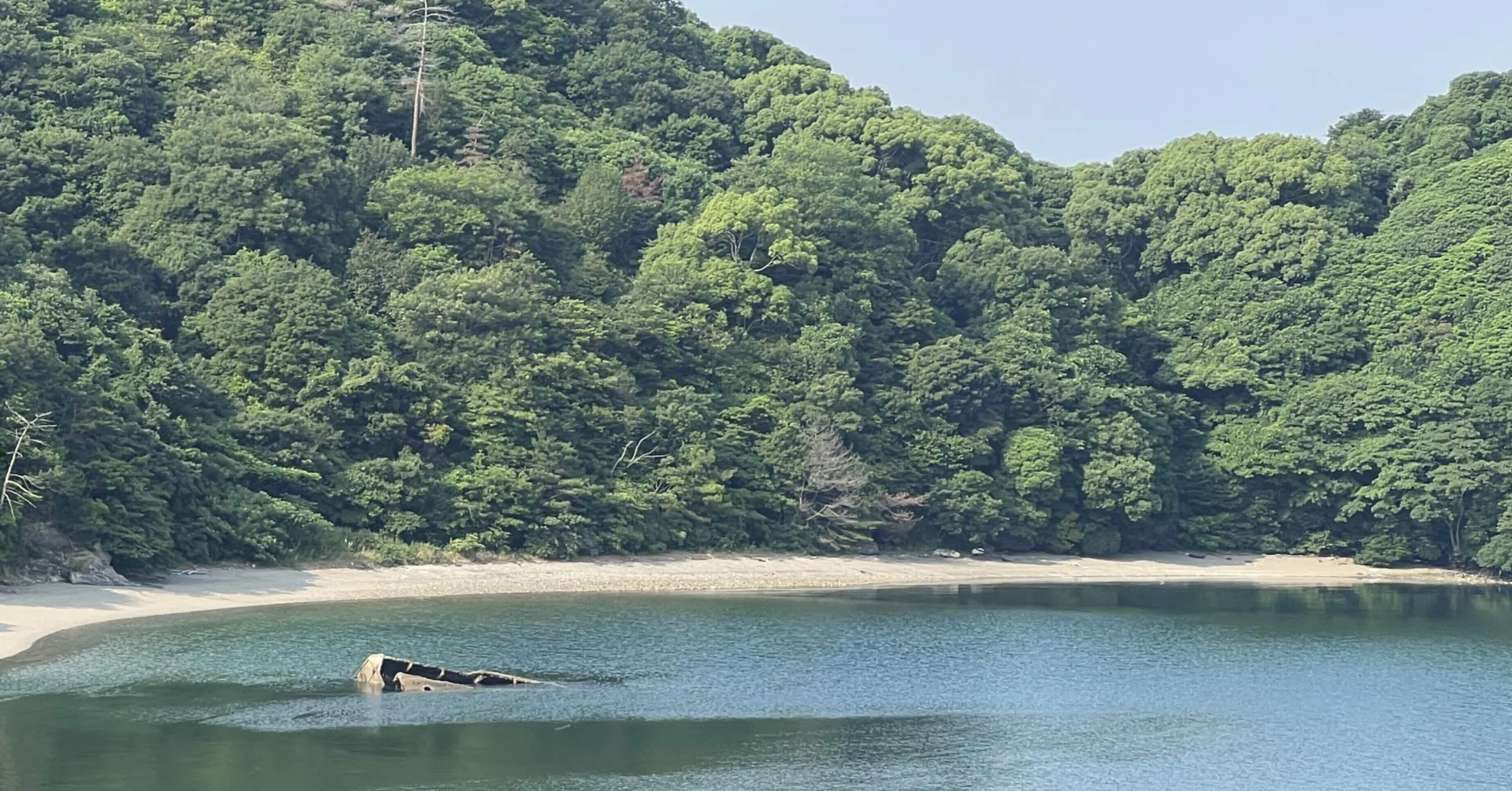 大板（遠州流茶道の点前）｜遠州流若宗匠（小堀宗以の日々）