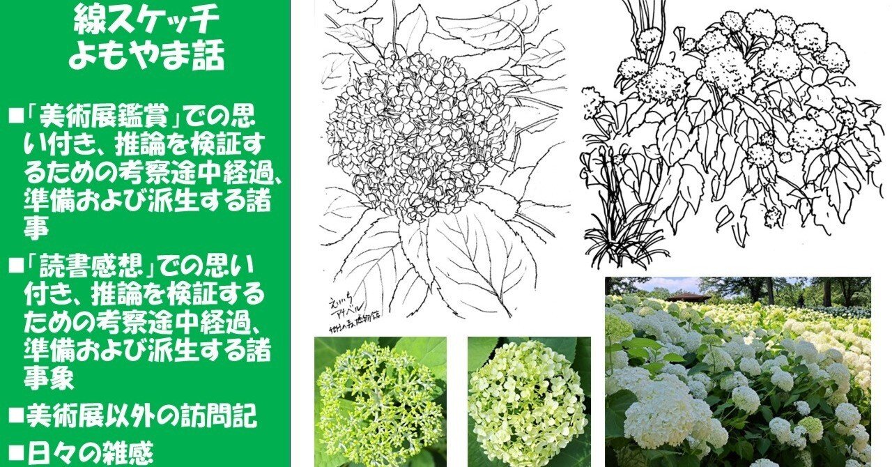 2025花スケッチ＞府中・郷土の森博物館」のアナベル：「植物画」の苦労