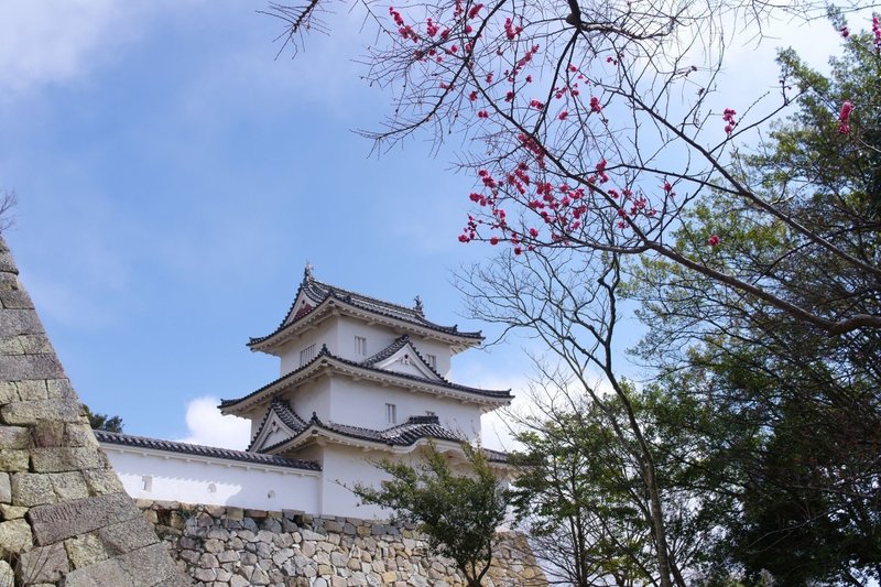 画像13