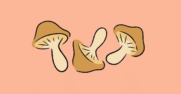 田中圭のブログだと思って、別人のブログを読み続けていた話