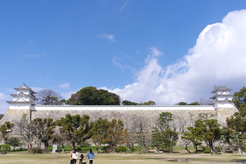画像14