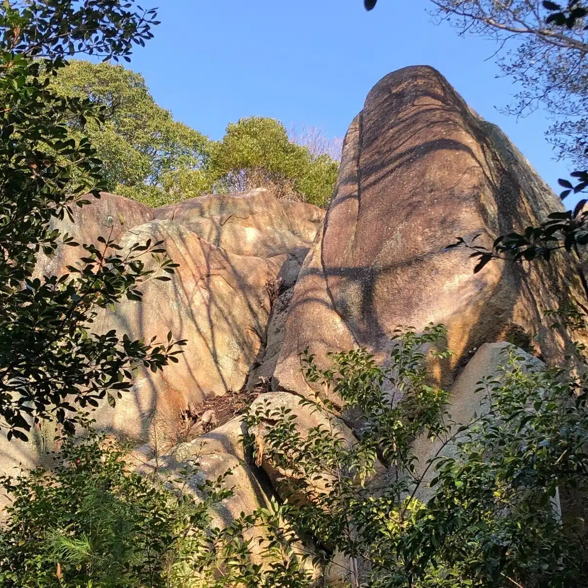 越木岩神社の神主