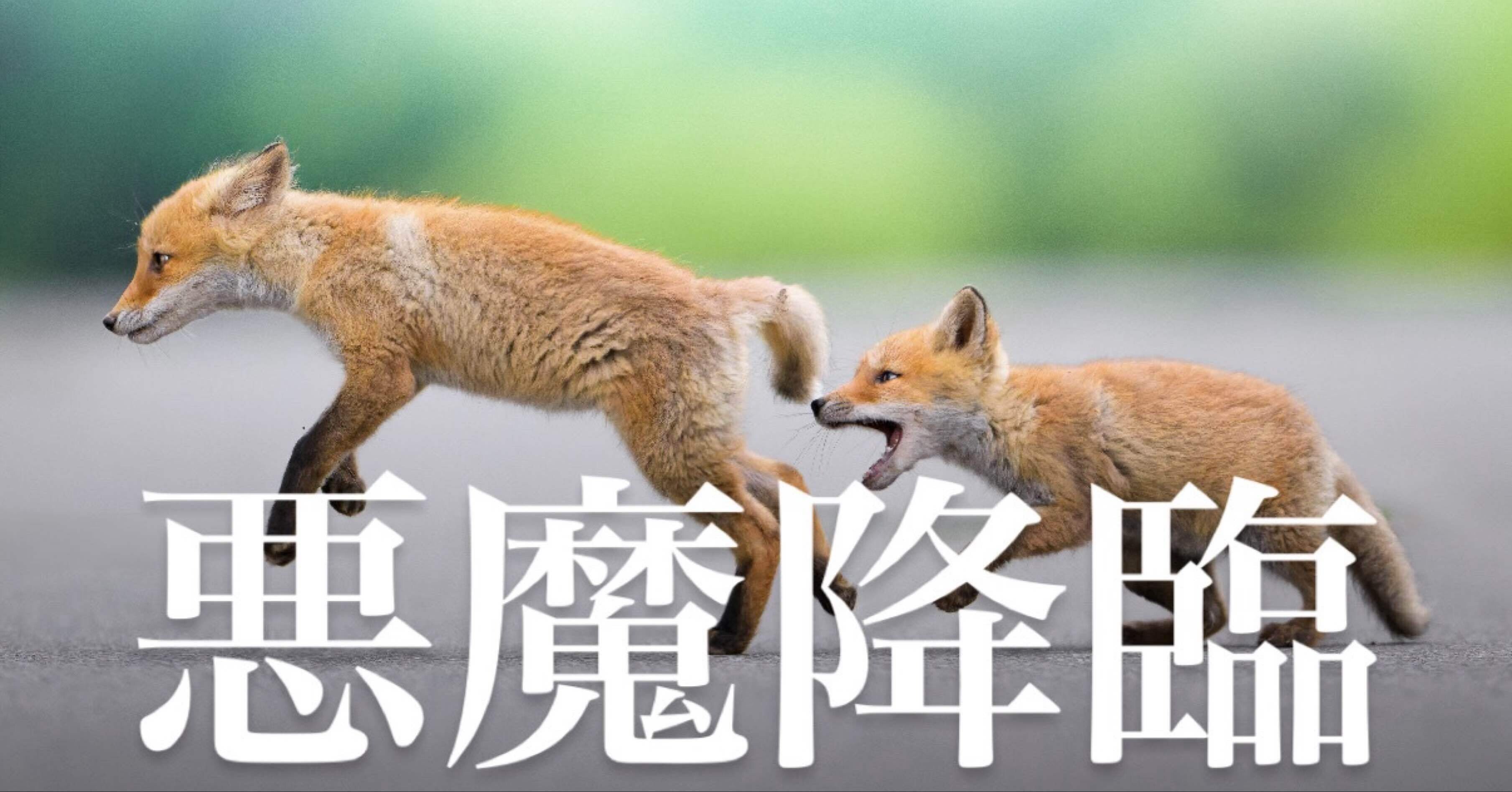 NIKKOR Z 400mm f/2.8 TC VR S」とかいう