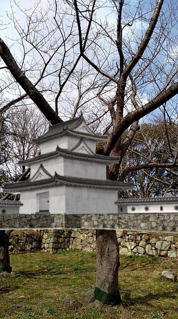 画像16