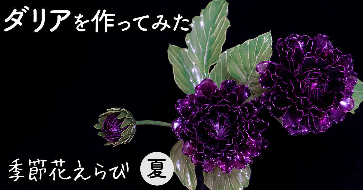 ダリア（Dahlia） デコラティブ咲き｜岡田香陽子 のDipフローラル