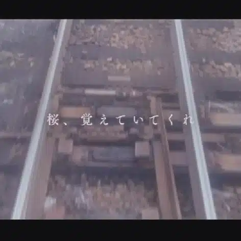 中村 辰之介(旧 栄、覚えていてくれ)