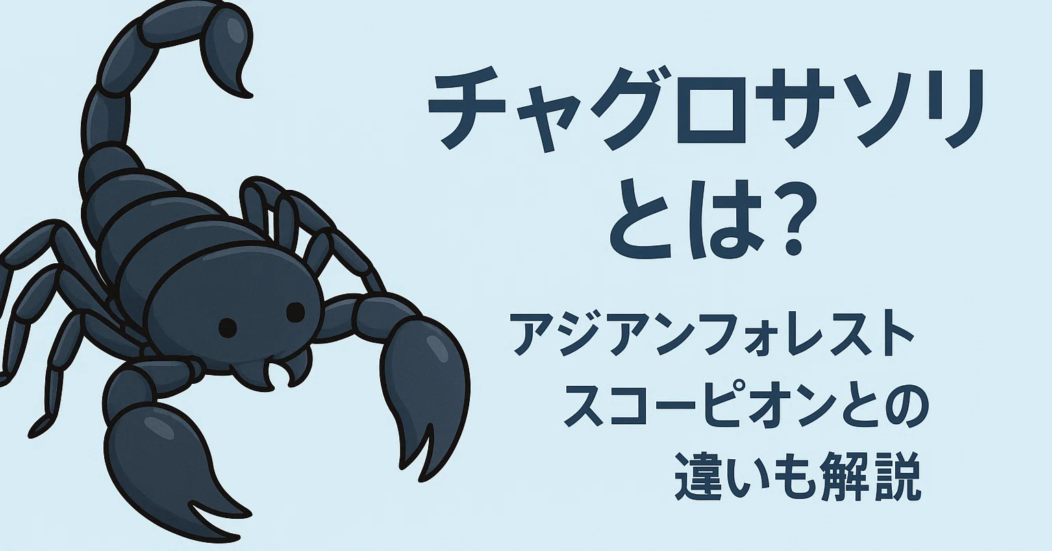 チャグロサソリとは？アジアンフォレストスコーピオンとの違いも解説