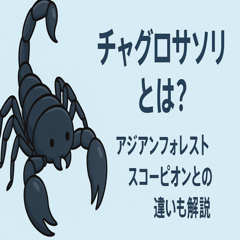 チャグロサソリとは？アジアンフォレストスコーピオンとの違いも解説