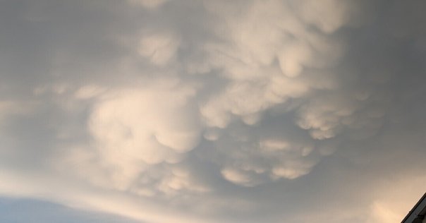 雲の真珠 真珠母雲（Mother-of-pearl clouds） 綺麗だけど、ヤバいかも｜yasu