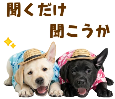 なぜか人気！？ラブラドールのスタンプが売れる理由を考えてみた