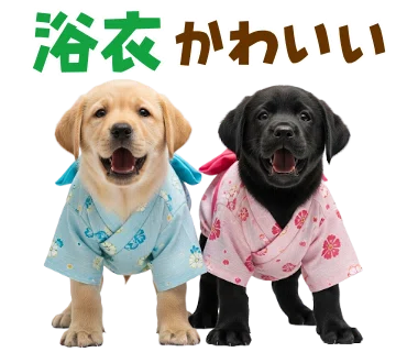 なぜか人気！？ラブラドールのスタンプが売れる理由を考えてみた
