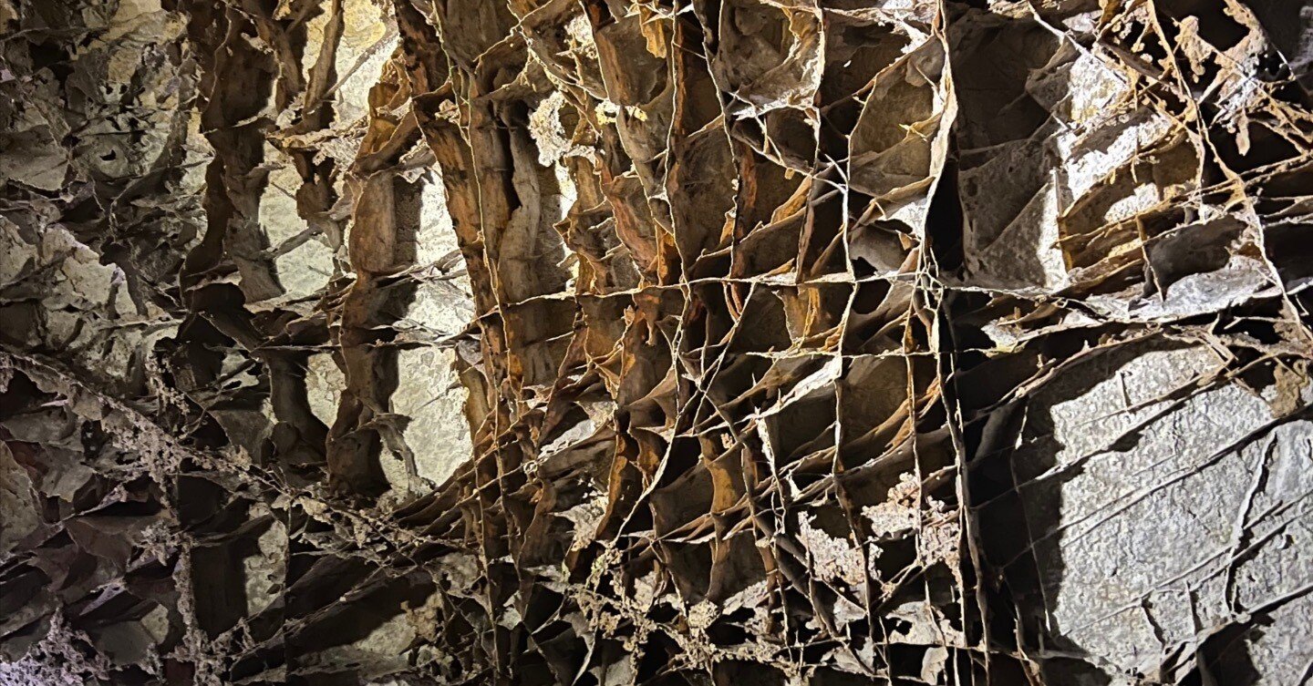 違いがわかる洞窟ウィンドケーブ国立公園｜Katsuya Shiratori