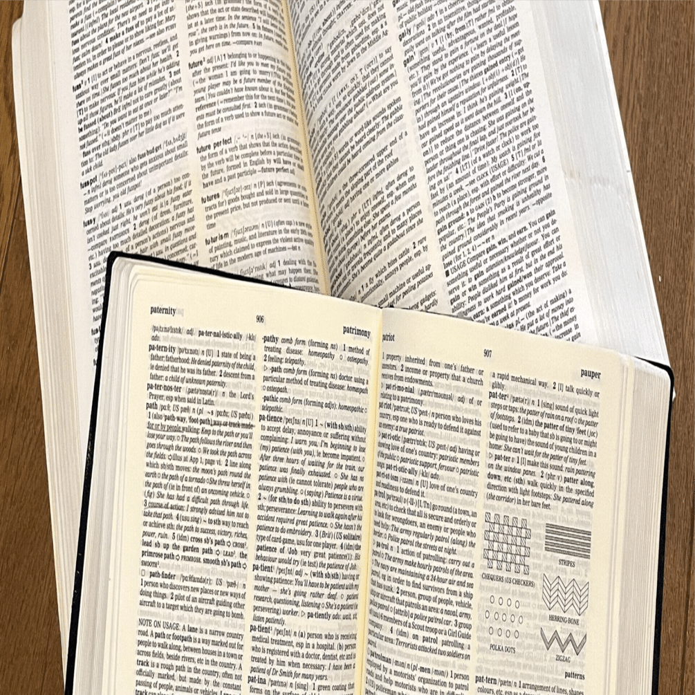 353【Helvillian】辞書をめぐる冒険。「辞書との出会い」編。｜ari