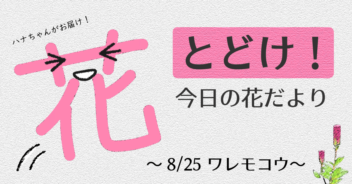 とどけ!今日の花だより 8/25「ワレモコウ」 とどけ!今日の花だより 8/25「ワレモコウ」