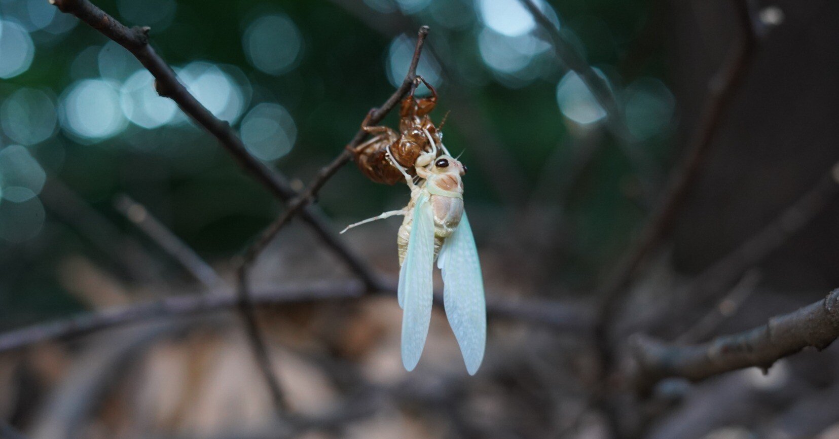 25271a9b72465c40bf2b5bdc07c8e8