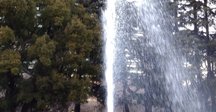 富士の山そろそろ登るかたつむり かたつむり そろそろ登れ 富士の山 (アニマルザワールド25