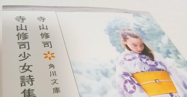 写真屋・寺山修司　摩訶不思議なファインダー田中未知編演劇レア希少 写真屋・寺山修司 摩訶不思議なファインダー田中未知編演劇レア