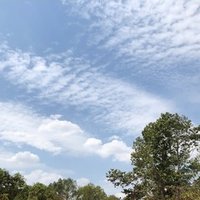 ドイツ人はなぜ 年290万でも生活が 豊か なのか ユウタ Note