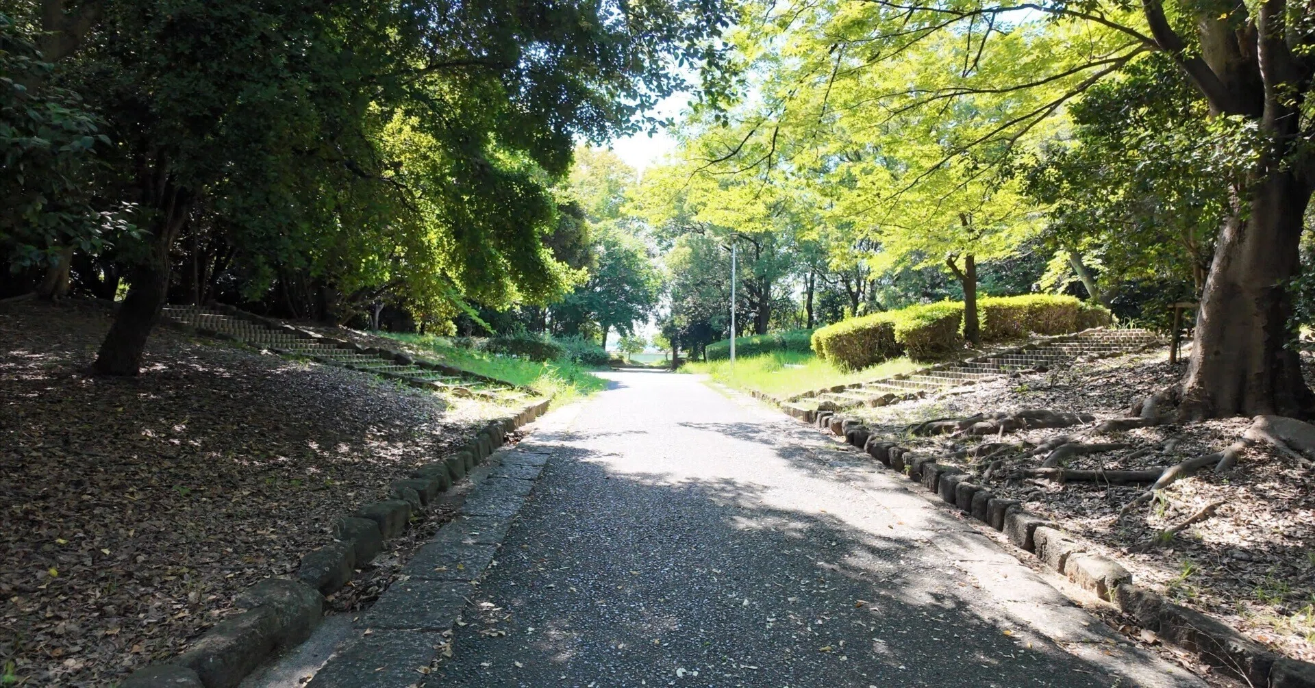大 江川 緑地