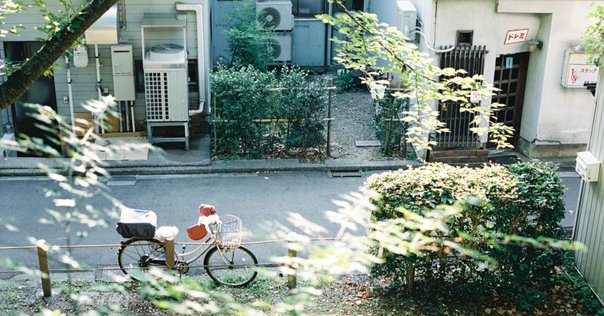 小島信夫の話をしたいのだけれど』を売ることになった経緯を手短